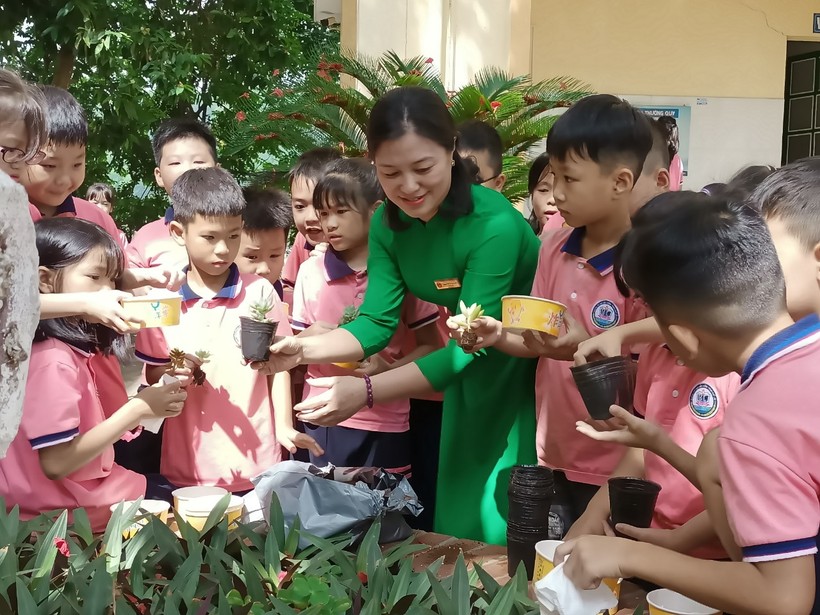 Học sinh Lào Cai đổi gần 5 tấn phế liệu lấy cây xanh ảnh 4