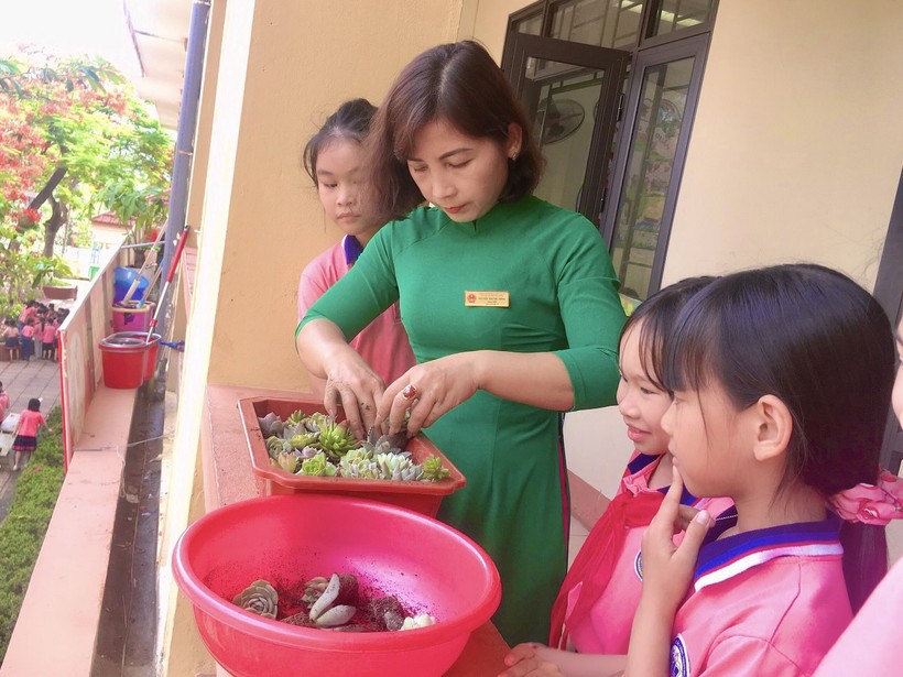 Học sinh Lào Cai đổi gần 5 tấn phế liệu lấy cây xanh ảnh 6