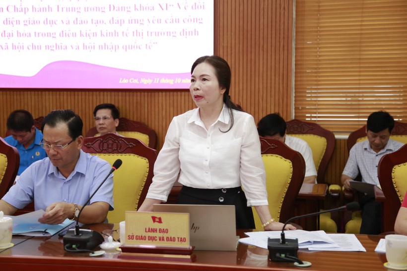 Bà Dương Bích Nguyệt phát biểu tại buổi làm việc. ảnh 1
