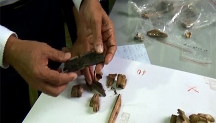 Nhà khoa học "té ngửa" với hiện vật 4.000 năm ở Hà Tĩnh