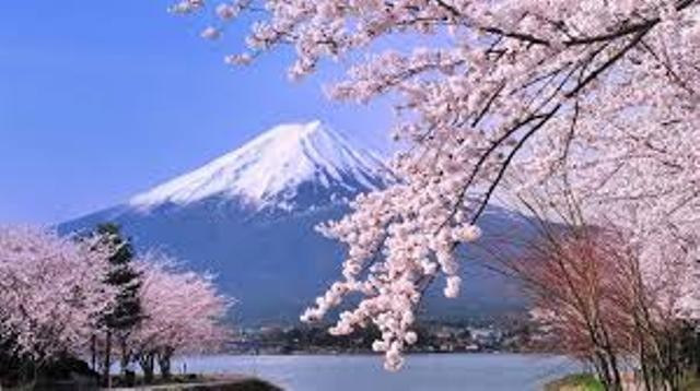 Nhật Bản mùa hoa anh đào.