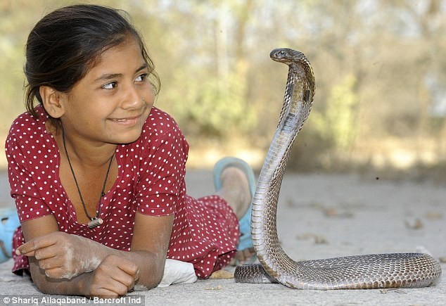 Cuộc sống của "Nữ thần rắn" 11 tuổi
