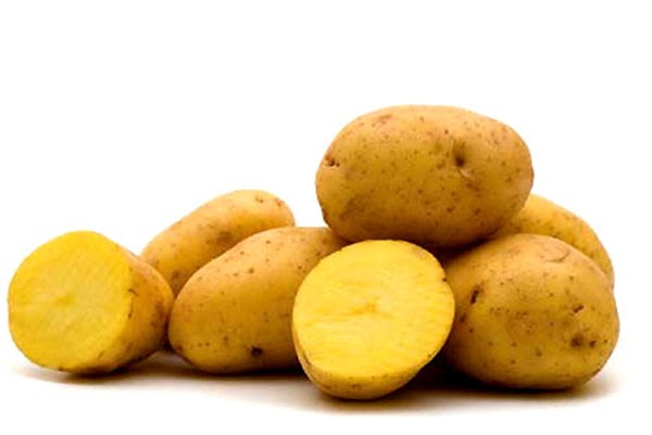 Trong củ khoai tây có chứa rất nhiều chất xơ hòa tan như, kali, sắt, kẽm, phốt pho và vitamin C giúp trị tóc bạc sớm hiệu quả.