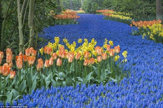 Chiêm ngưỡng 10 vườn hoa đẹp nhất thế giới