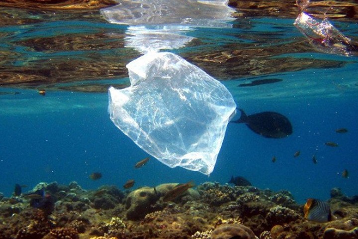 Đức sẽ thu gom rác nhựa trên biển
