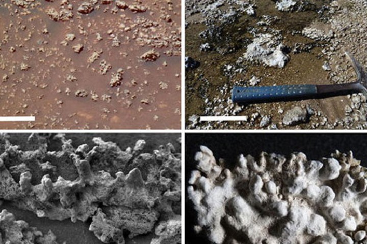 Tìm thấy bằng chứng về sự sống trên sao Hỏa qua ảnh của NASA