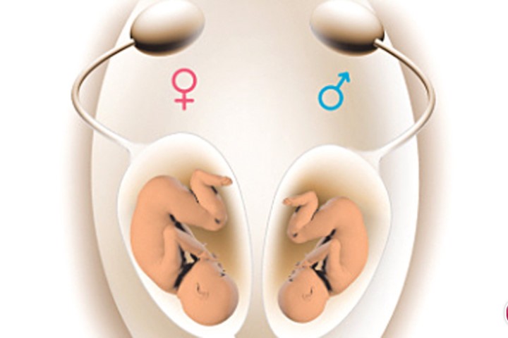 Giới tính của thai nhi hình thành như thế nào trong bụng mẹ?