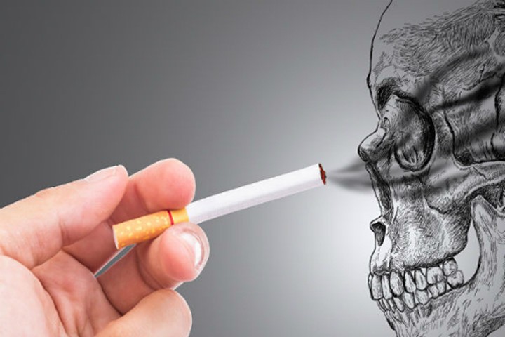 Khói thuốc lá thực sự độc như thế nào?