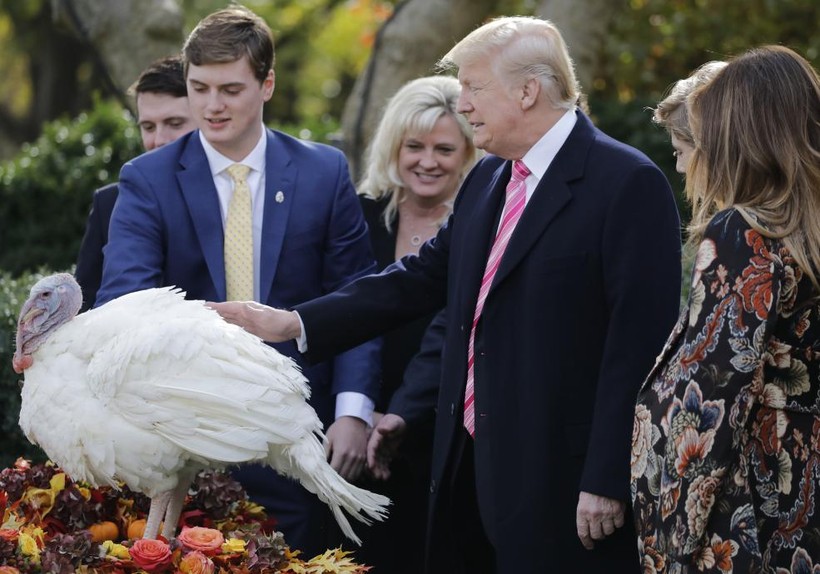 Tổng thống Donald Trump xá tội cho gà tây