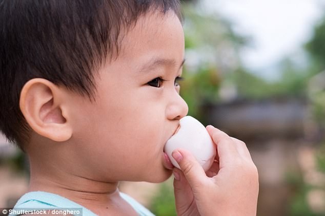 Cho trẻ ăn một quả trứng một ngày trong 6 tháng để tăng cường phát triển não