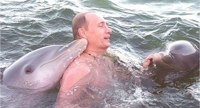 Hình ảnh từ clip TT Putin bơi cùng cá voi.