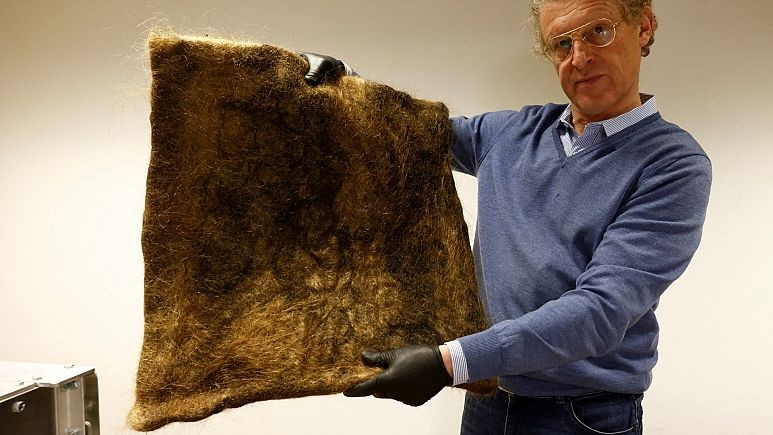 Đồng sáng lập tổ chức Dung Dung Patrick Janssen cho thấy một tấm thảm làm từ tóc người tái chế. (Ảnh: REUTERS/Yves Herman)