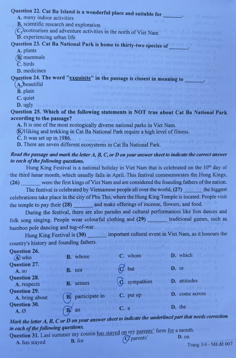 Gợi ý đáp án đề Tiếng Anh thi vào lớp 10 Hà Nội ảnh 5