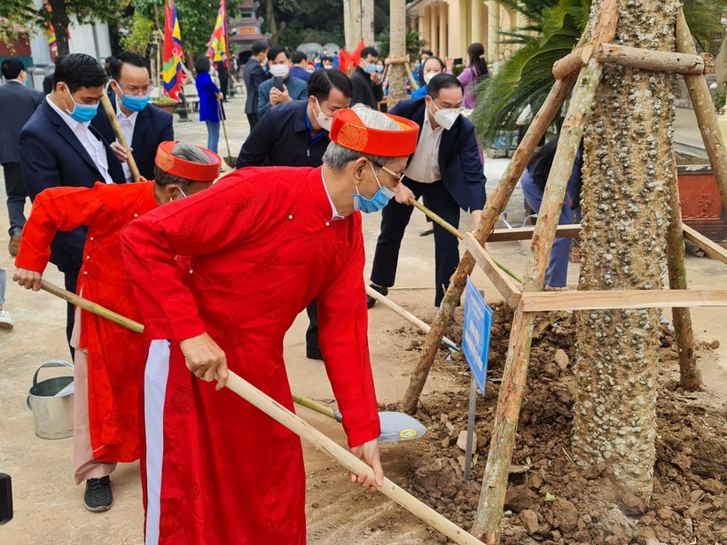 Hơn 1 nghìn cây mộc miên sẽ được trồng tại Suối Yến, Chùa Hương.