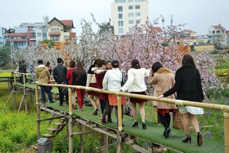 Các vườn cảnh ở Nhật Tân, Quảng Bá lúc nào cũng nườm nượp khách ra vào