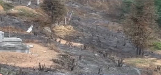 Cháy rừng liên tiếp ở Cao Bằng do đốt vàng mã