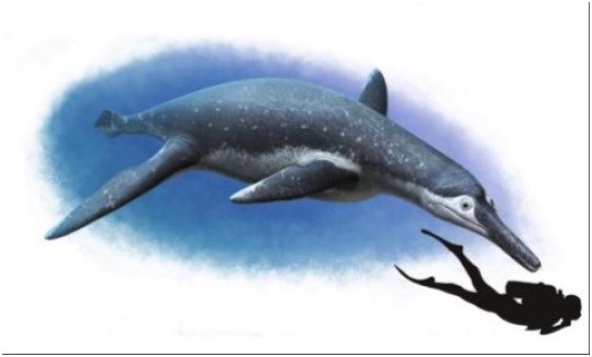 Phát hiện hóa thạch loài bò sát biển mới ở Nga