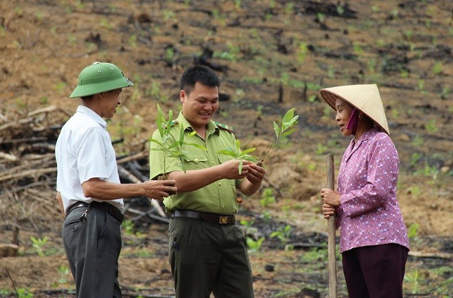 Bà Hồ Thị Linh được cán bộ kiểm lâm hướng dẫn chăm sóc rừng trồng