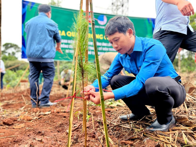 Lễ ra quân trồng Thông ba lá tạo cảnh quan tại tuyến đường tránh Đèo Măng Đen năm 2022.