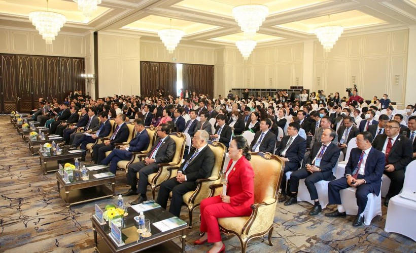 Lễ khai mạc có sự tham gia của gần 300 đại biểu trong nước và quốc tế.