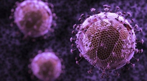 Virus HIV đang ngày càng suy yếu. Ảnh: BBC News.
