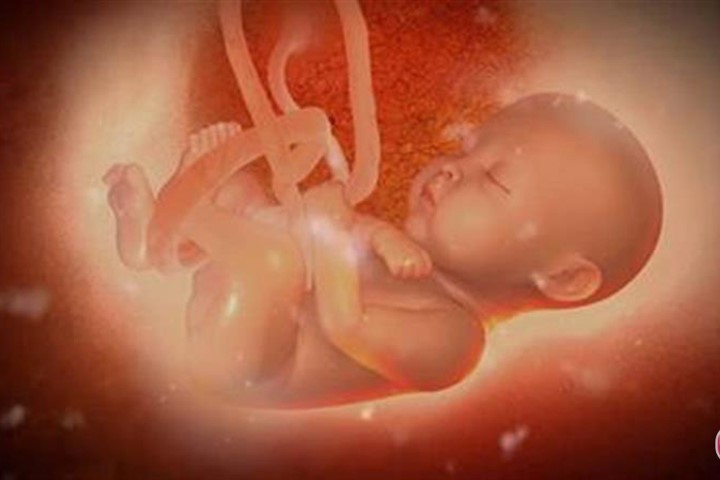 Tiếng nấc của thai nhi từ trong bụng mẹ tiết lộ điều gì?