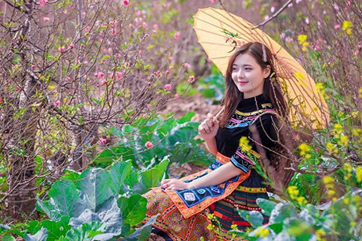 "Hot girl dân tộc" khoe sắc trong vườn hoa đào Tết