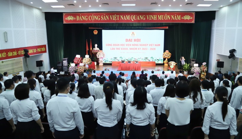 Đại hội Công đoàn Học viện Nông nghiệp Việt Nam lần thứ 33 ảnh 2
