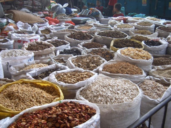 Dược liệu được bán như rau tại chợ đầu mối phía Bắc Hà Nội.