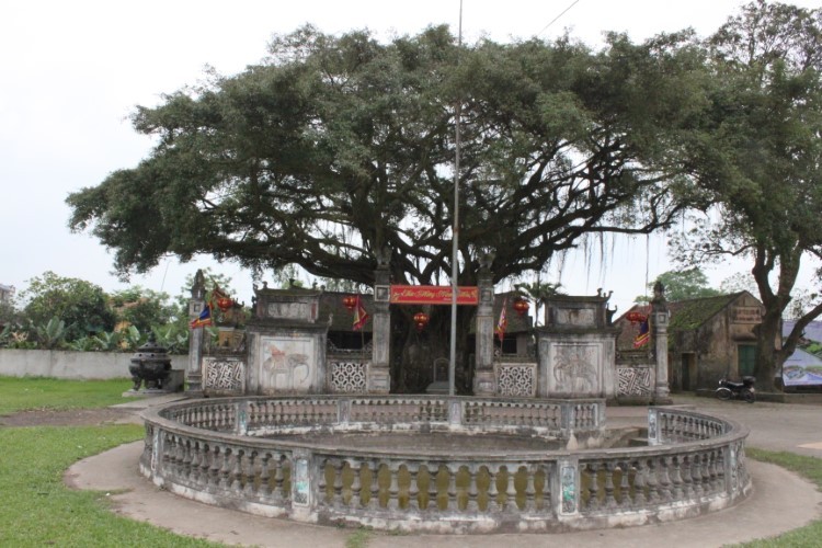 Đền Lưu Xá được cây sanh nghìn năm che phủ.