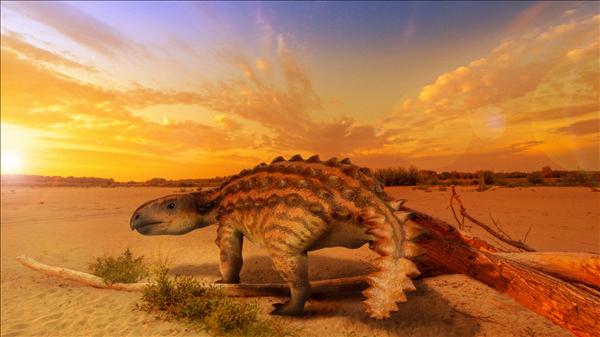 Phát hiện hóa thạch của loài khủng long bọc giáp mới