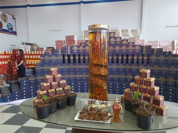 Công ty Sâm Việt Nam giới thiệu nhiều sản phẩm có chứa sâm Ngọc Linh trong ngày khai trương tại TP Kon Tum.