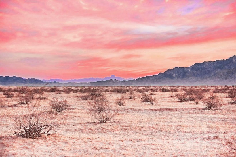 Sa mạc gần Yuma, Arizona, nơi cặp đôi June Marajane Walker và Klaus W. Martens biến mất không để lại dấu vết.