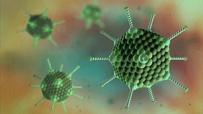 Adenovirus có thể bị tiêu diệt nhanh chóng bởi tia cực tím hoặc trong môi trường nước sôi 1.000 độ C. 