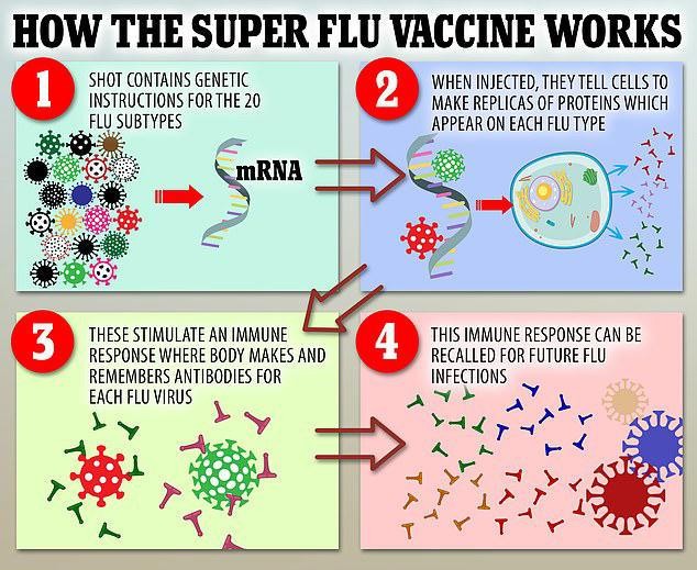 Tạo siêu vắc-xin ngừa hơn 20 loại cúm dựa trên công nghệ vắc-xin ngừa Covid. Ảnh: MSN.