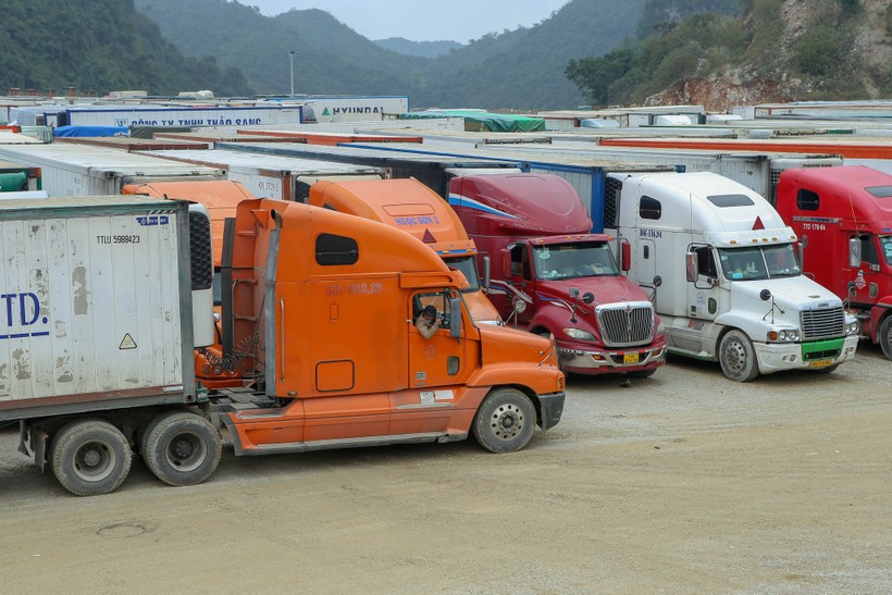 Xe container xếp hàng tại các bãi chuẩn bị xuất hàng sang Trung Quốc.
