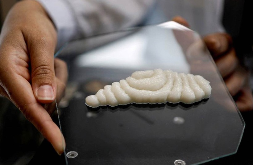 Phi lê cá được tạo ra bằng công nghệ in 3D.
