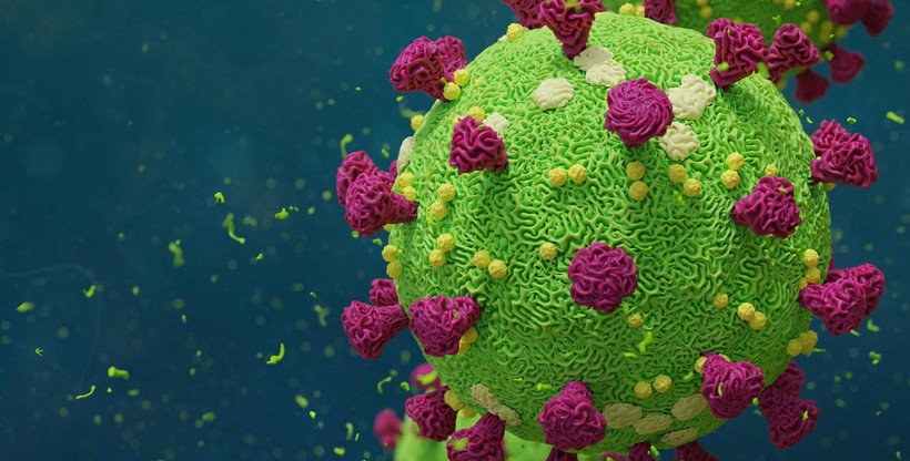 Vắc-xin mới sử dụng các phân tử mARN để dạy tế bào của chính cơ thể tạo ra những đoạn protein của virus.