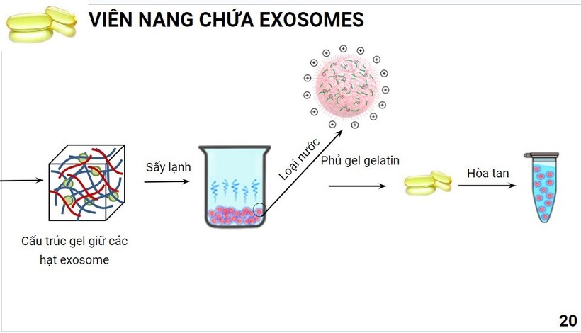 Một phần quy trình chế tạo viên nang chứa exosome của nhóm sinh viên.