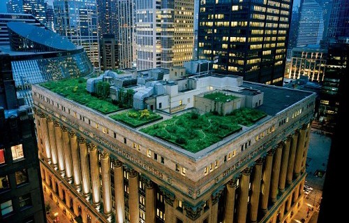 Pháp ra luật trồng cây trên nóc tòa nhà