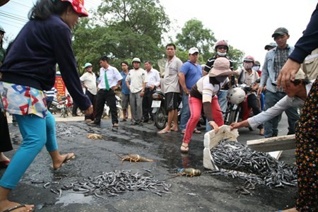 Phản đối ô nhiễm, dân đổ tôm hùm chết ra quốc lộ