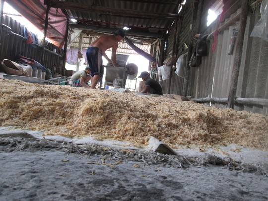 Kinh hãi lò sản xuất chà bông đầy ruồi và hóa chất