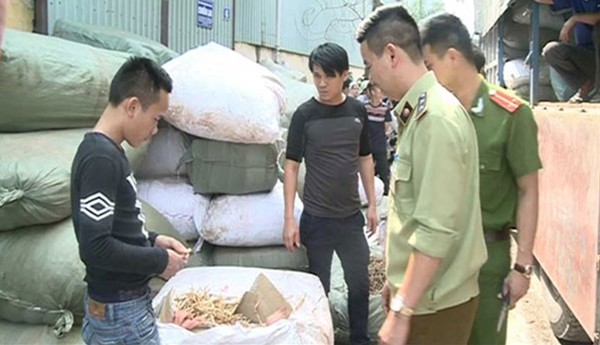 6 tấn dược liệu thuốc Bắc nhập lậu trên đường về Hà Nội