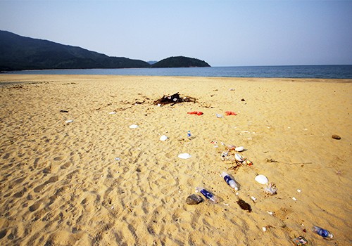 Đà Nẵng xử phạt người xả rác ra bãi biển