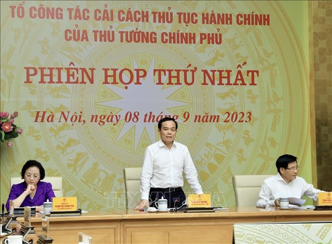 Phó Thủ tướng Trần Lưu Quang, Tổ trưởng Tổ công tác phát biểu. Ảnh: Lâm Khánh/TTXVN