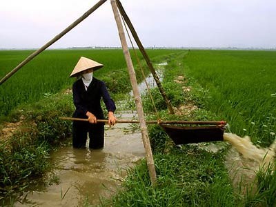 Phụ nữ Việt Nam có thu nhập chỉ bằng 87% nam giới