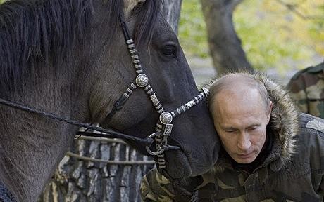 Thủ tướng Putin mạnh mẽ trong bộ ảnh mới