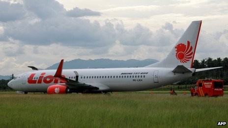 Máy bay hành khách Indonesia lao vào bò
