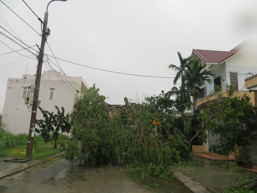 Đà Nẵng, Quảng Nam: Gió giật cấp 16, mất điện, nước