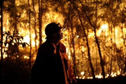 Bão lửa tại Úc bủa vây hàng trăm ngôi nhà